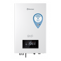 Котел Thermex Grizzly 5,8,10,12 кВт (220/380 В)