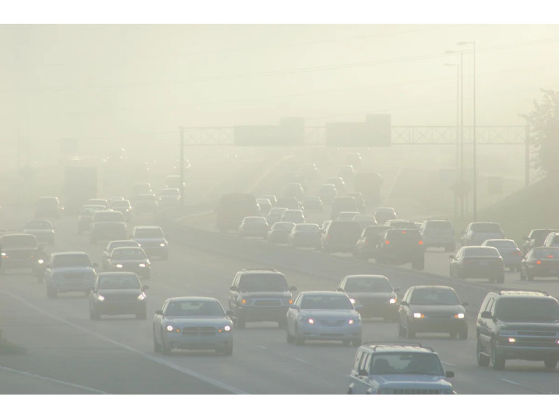 Жизнь у дороги: как защититься от пыли и выхлопов