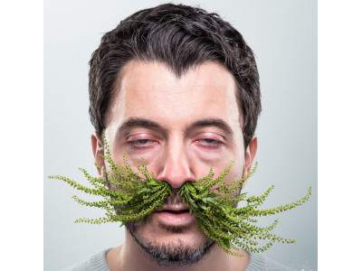 Алергія на пилок (Поліноз) - Симптоми і методи боротьби з нею